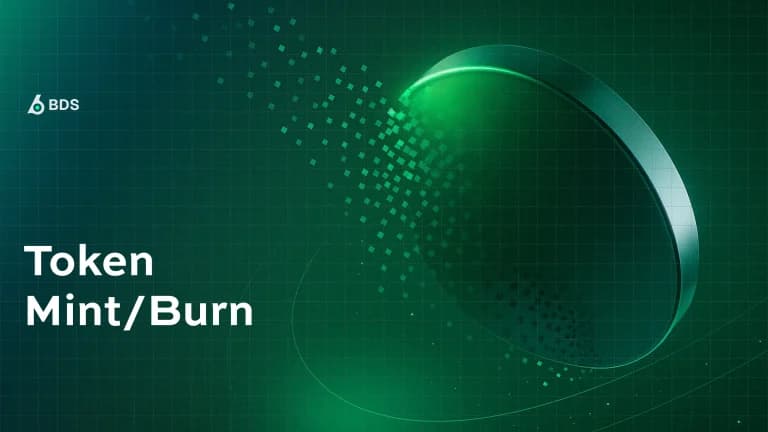 new-api-token-mint-burn